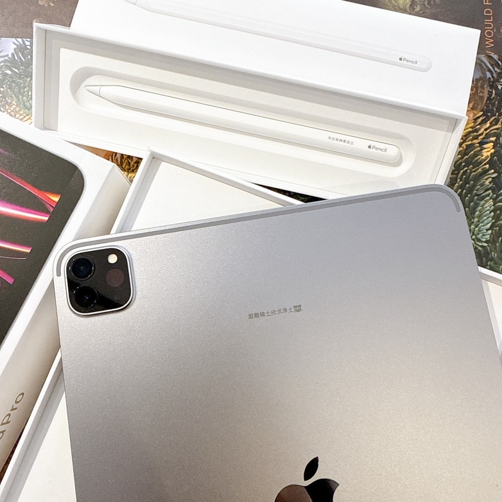 『善化』iPad Pro 11吋 m2 128G灰色*xcpf9（店保30天）