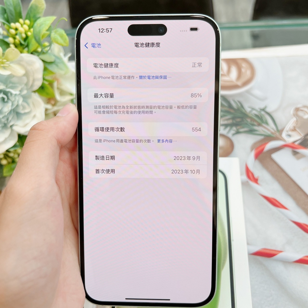 二手15Plus-256G 綠色 *20807（店保365天）