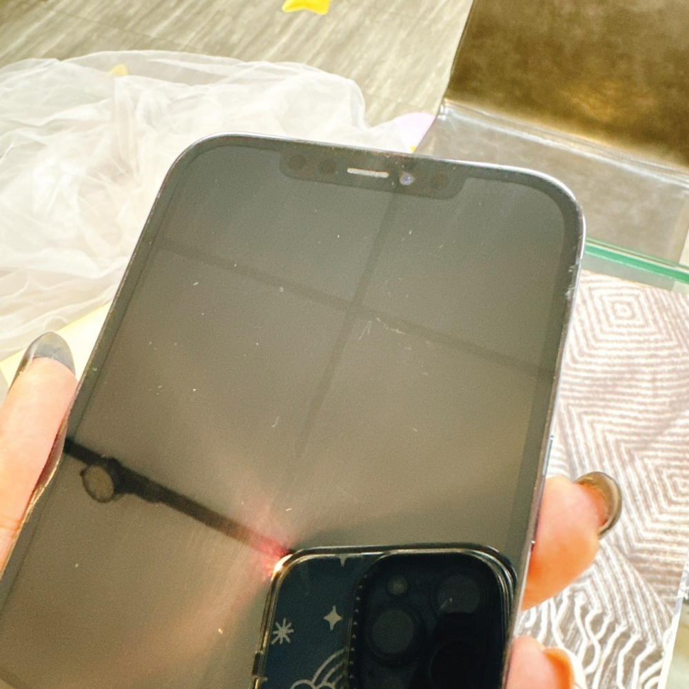 二手12 Pro Max 256G 藍色*01699 (店保90天)