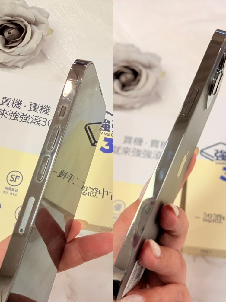 二手 13Promax256G黑色*97839 (店家保固365天)