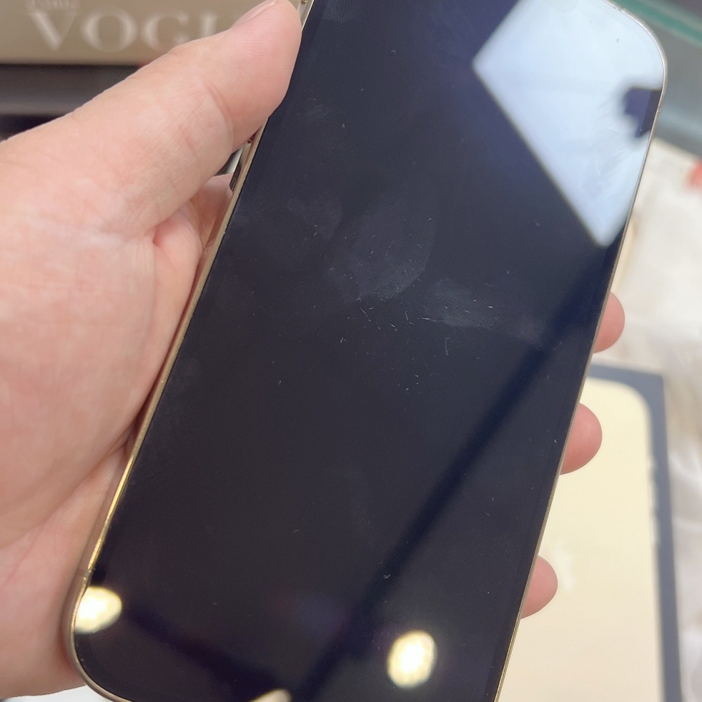 二手 iPhone 13 Pro Max 1TB 金色*33140（店保365天）