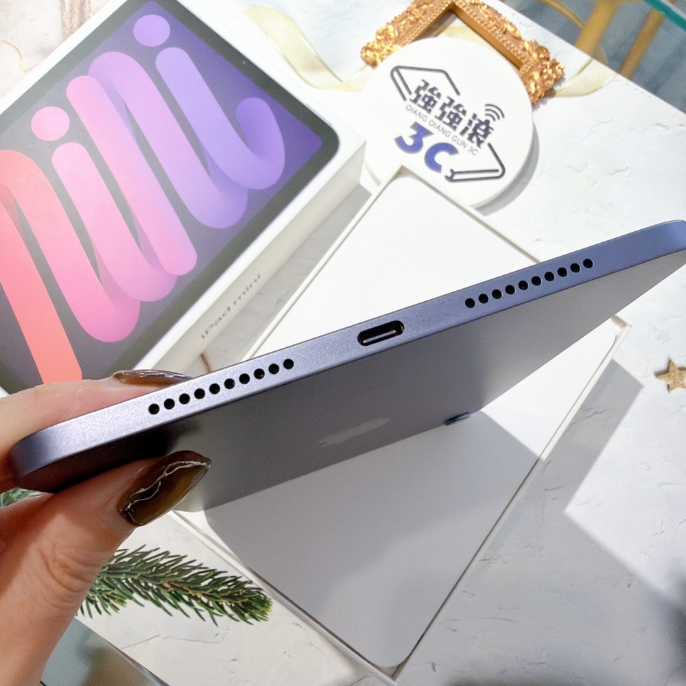 善化-二手iPad mini6 64G 紫色 #7m63n（店保30天）