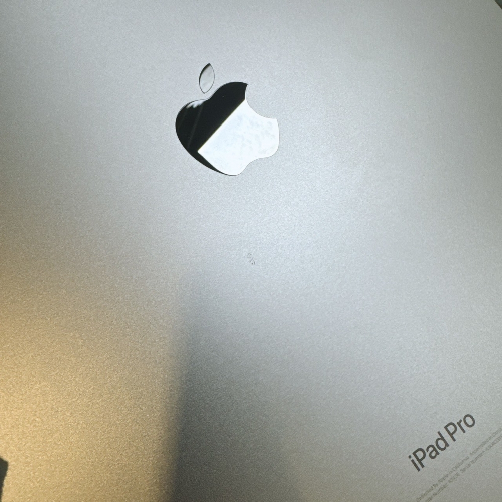 二手 iPadPro 6 12.9 M2  256G 灰色#33YF1（店家保固30天）