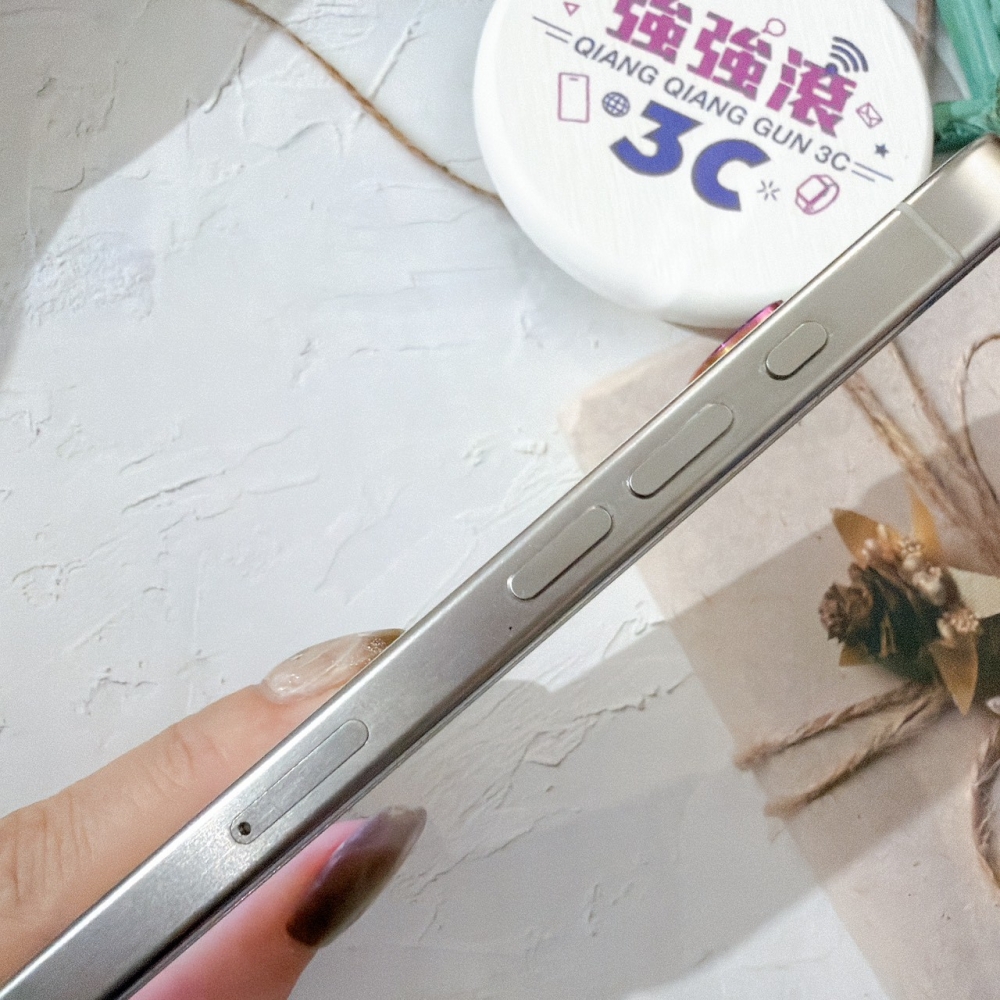 善化-二手 iPhone15 Pro Max 256G 白色 #56027（店家保固365天）