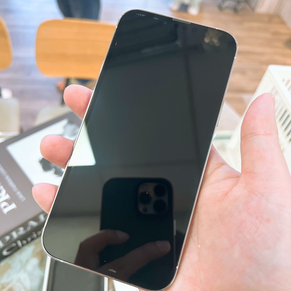 二手 13Promax128G 銀色*62960 (店家保固365天)