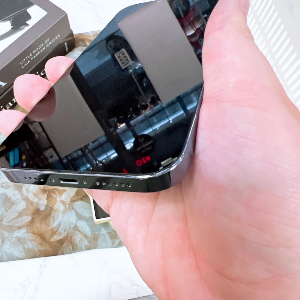 二手 13Promax256G 藍色*34646 (店家保固365天)