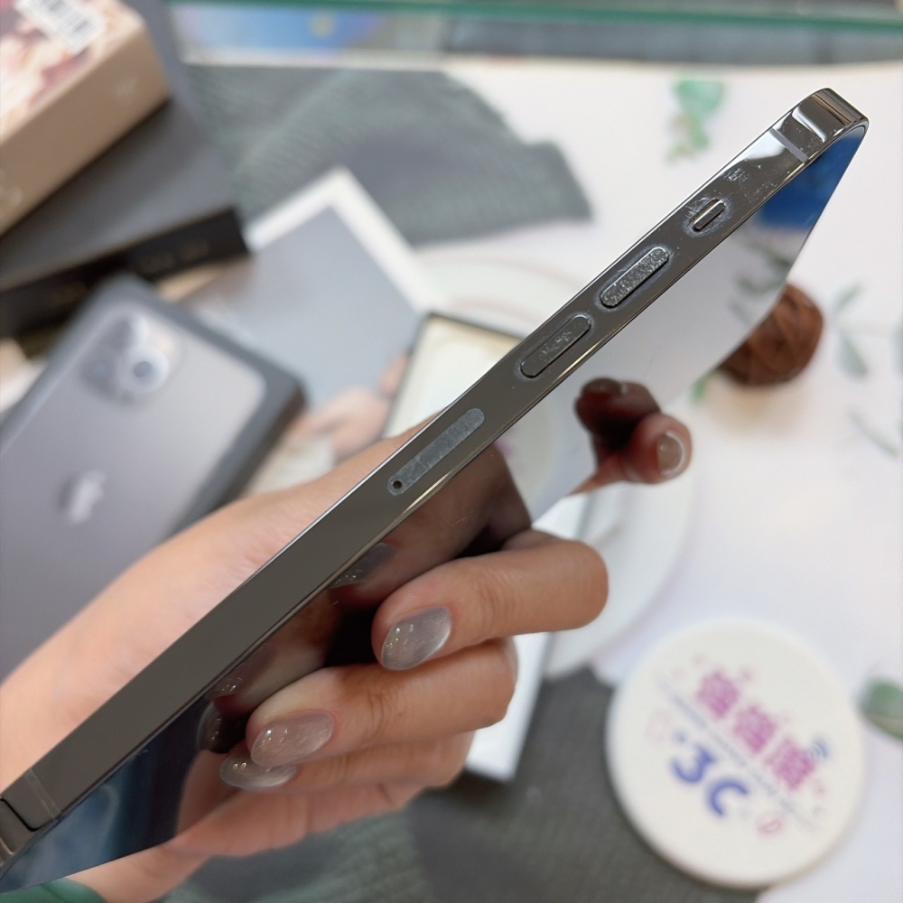 二手 13Promax256G黑色*97839 (店家保固365天)