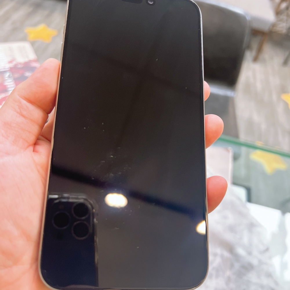 二手-iPhone15ProMax 256G 原色*95963（店家保固365天）