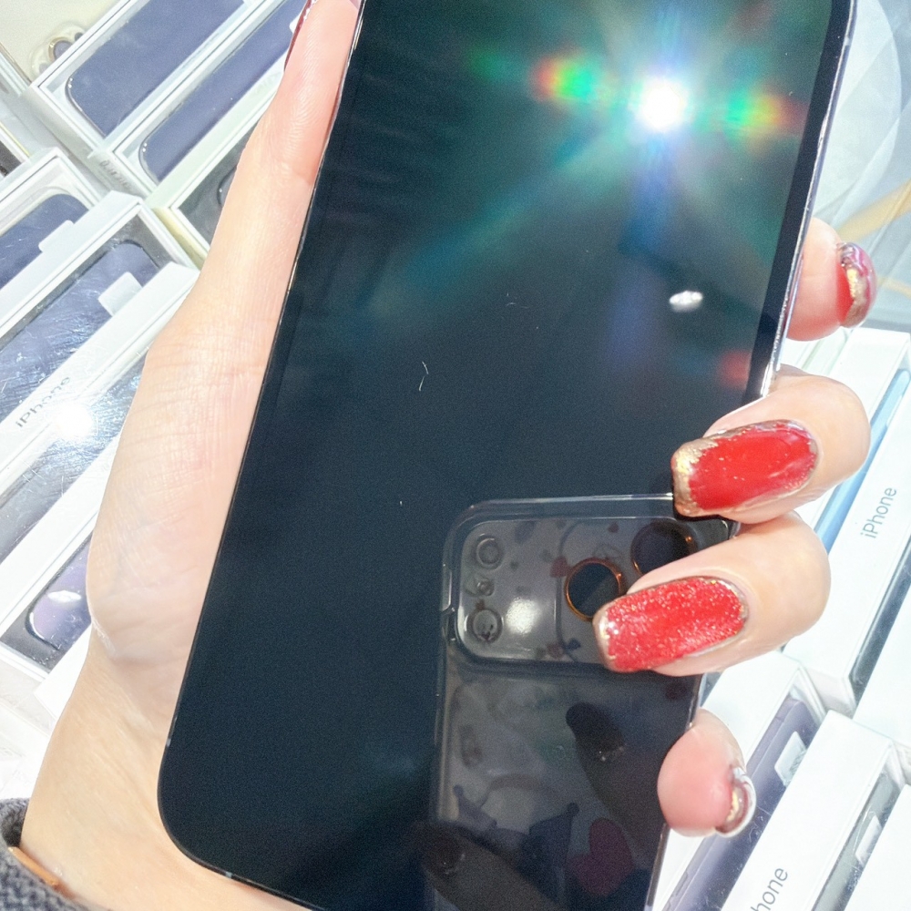 善化-二手 iPhone13 Pro 512G 藍色 #10456(店家保固365天)