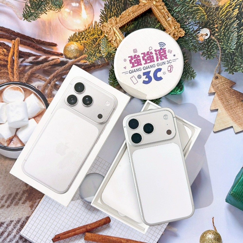 善化-二手 17 P
